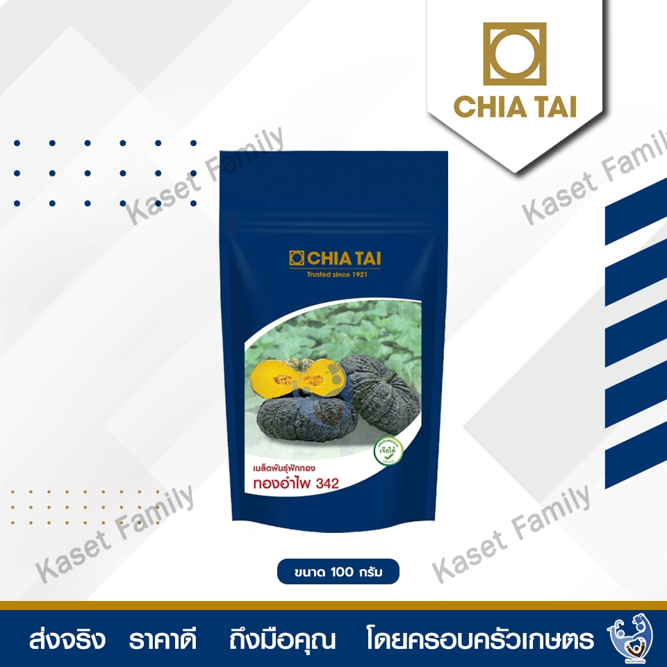 ฟักทอง ทองอำไพ 342 บรรจุ 100 กรัม เมล็ดฟักทอง ตราเจียไต๋