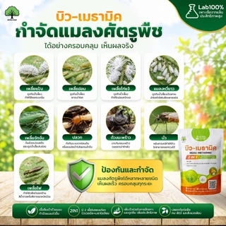 บิว-เมธามิค ตราเทพมงคล 2 ซอง กำจัดแมลงศัตรูพืช ด้วง เพลี้ย ไรแดง แมลงหวี่ขาว ขนาด 500 กรัม ชนิดผง