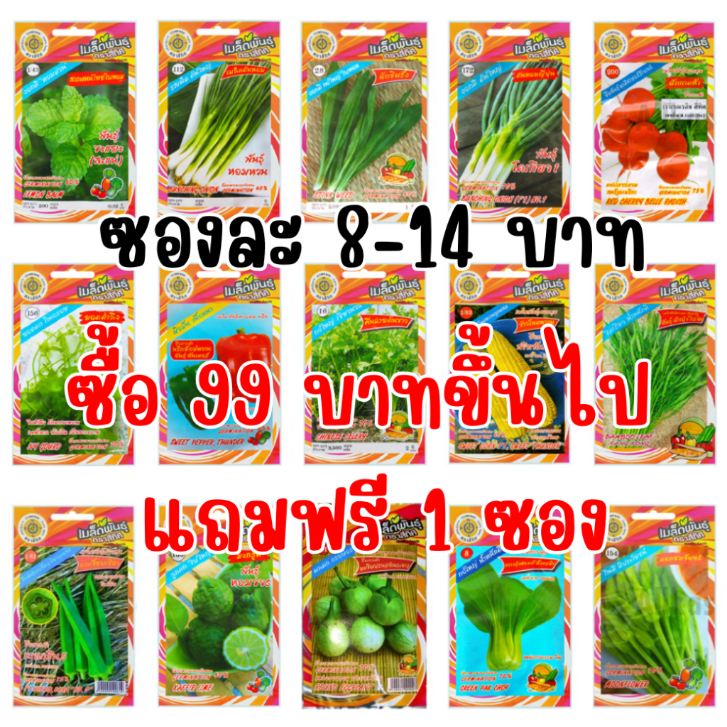 เมล็ดพันธุ์ผักสวนครัวสี่ทิศ ซองละ 8-14 บาท ซื้อ 99 บาทขึ้นไปแถมฟรี 1 ซอง