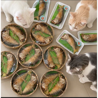 พร้อมส่ง!!🥐ของเล่นสุดโปรดน้องแมว น้องหมา🐟 ปลาทูทอด กุ้งเผา หมึกย่าง ครัวซองด์ แถมฟรีแคทนิบ