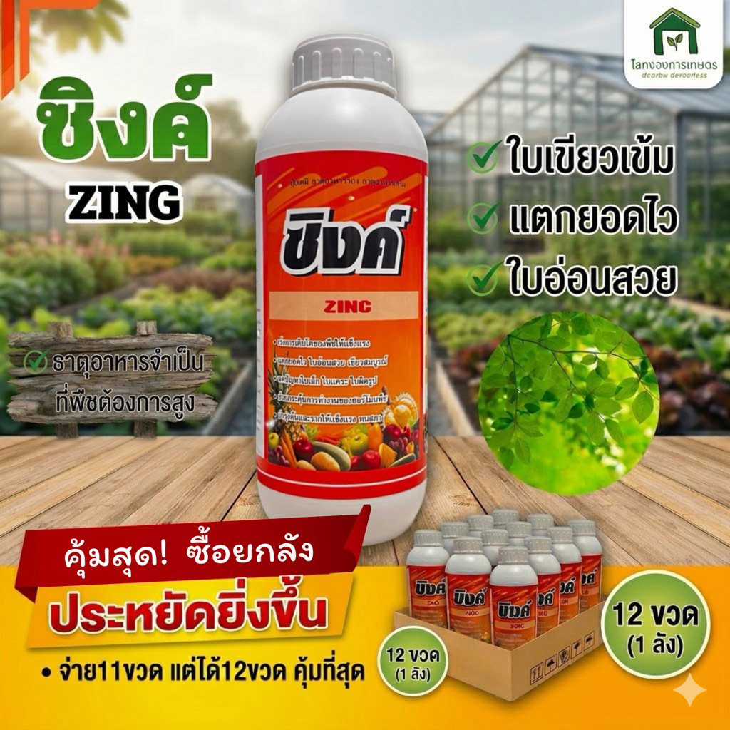 ซิงค์🧡 สังกะสีพืชสูตรเข้มข้น ยกลัง12ขวด คุ้มสุด💯ป้องกันใบแก้ว ใบสั้น ใบเล็ก แตกตายอด ใบเขียวทนต่อสภาพอากาศ