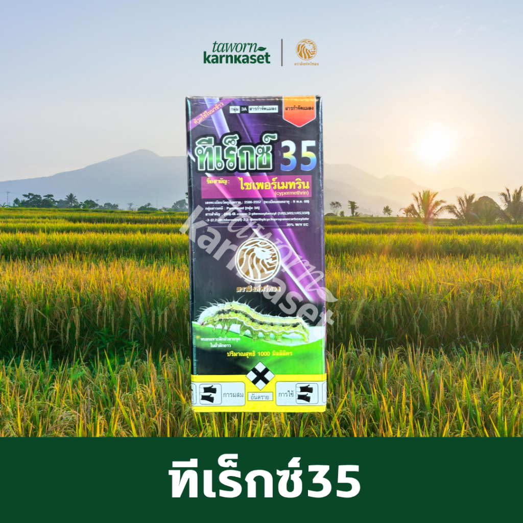 ทีเร็กซ์35 (ไซเพอร์เมทริน) ขนาด 1 ลิตร ตรา สิงห์หวีทอง สูตรเย็น ฉีดผ่าดอกได้ น็อคหนอน เพลี้ย และแมลง