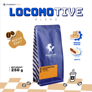 Pacamara Locomotive Blend 250g เมล็ดกาแฟไทย+ต่างประเทศ อาราบิก้า 100% คั่วกลาง ขนาดบรรจุ 250 กรัม
