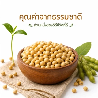 ถั่วเหลือง Soybeans ชนิดคัดพิเศษ เม็ดอวบสวย | Natural & Protein | ทำน้ำเต้าหู้โฮมเมด/เต้าหู้ขาว/นมถั่วเหลือง/เทมเป้