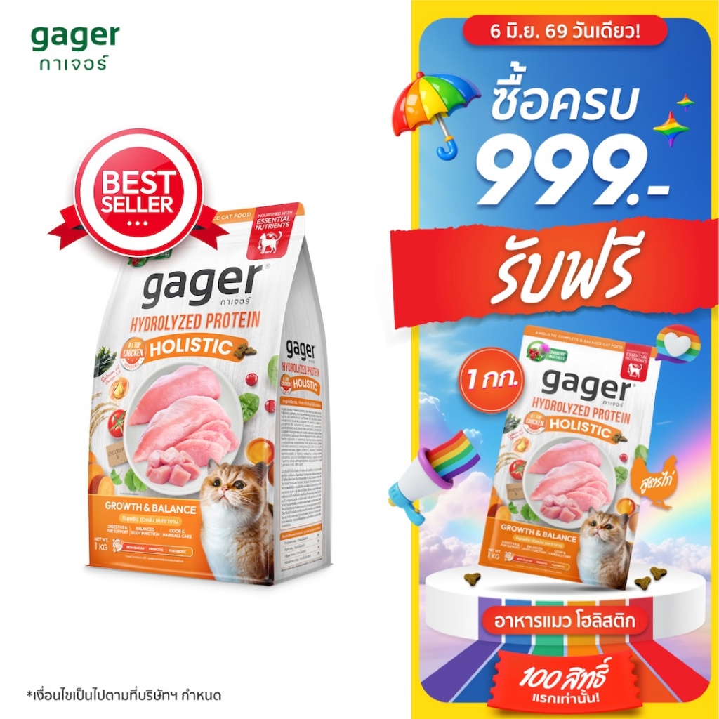 Gager อาหารแมว กาเจอร์ โฮลิสติก เสริมวิตามิน เพื่อสุขภาพ พัฒนาโดยสัตวแพทย์ สูตรไก่  (ขนาด 1 กิโลกรัม)
