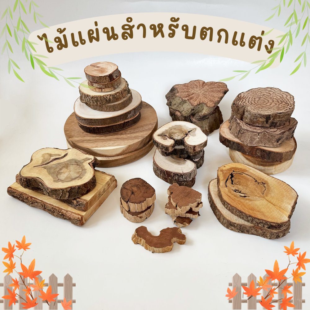 Prosco | ไม้แผ่น ไม้หน้าตัด ไม้ฝานธรรมชาติ สำหรับตกแต่ง ฐานรองสินค้า พร็อพถ่ายรูป คริสมาสต์ rustic nordic wood slice