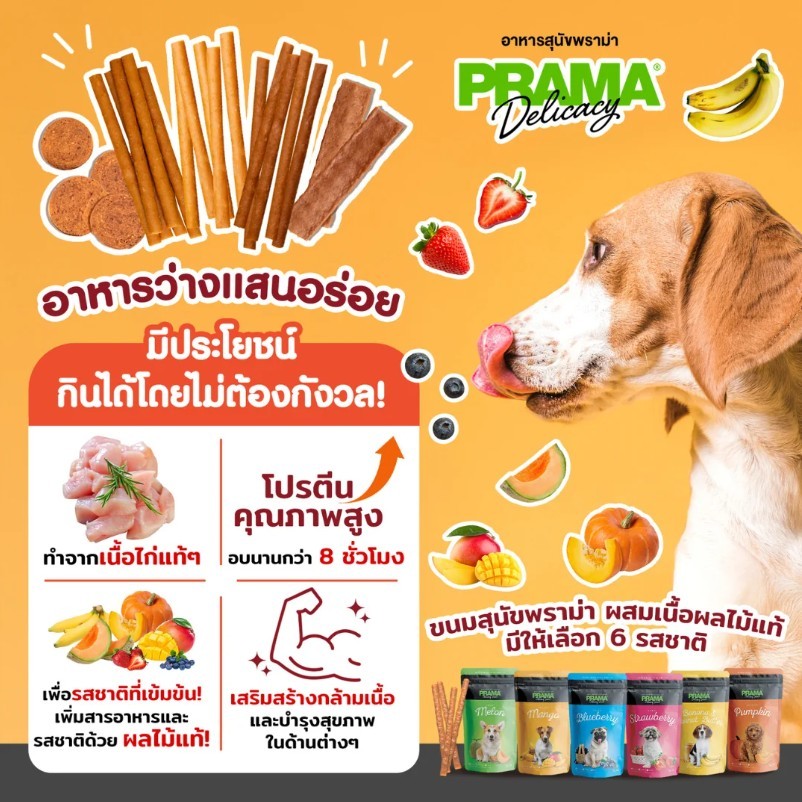 Prama ขนมสุนัข ขนาด 70 กรัม