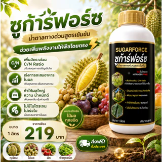 ซูก้าร์ฟอร์ซ น้ำตาลทางด่วน สูตรเข้มข้น ซอบิทอล ไม่มีไนโตรเจน เพิ่มความหวาน เพิ่มคุณภาพผลผลิต 1 ลิตร