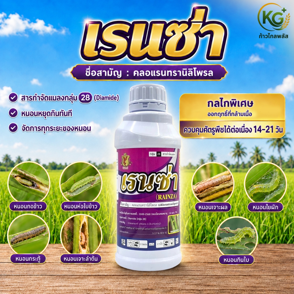 เรนซ่า คลอแรนทรานิลิโพรล 5.17% SC สารกำจัดหนอน หนอนกอข้าว หนอนม้วนใบ หนอนเจาะ หนอนกระทู้ [ขนาด1ลิตร]