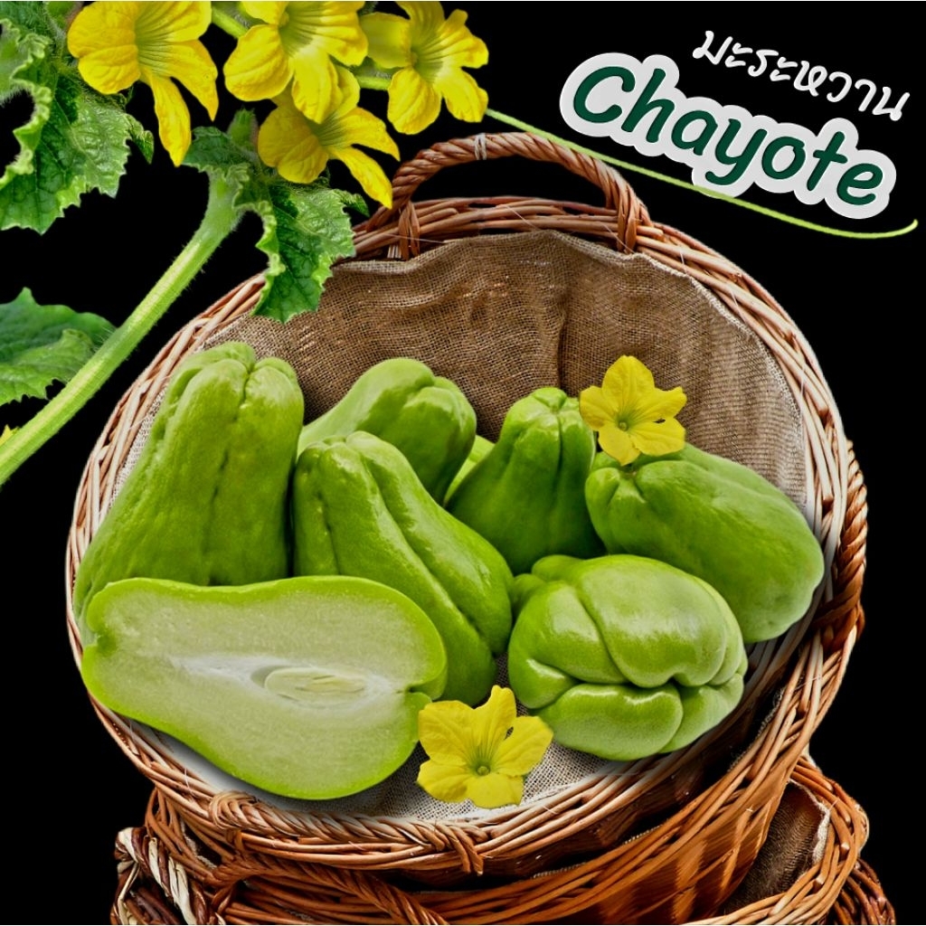 มะระหวาน (Chayote) ฝักแม้ว ผัดๆ อร่อยมาก