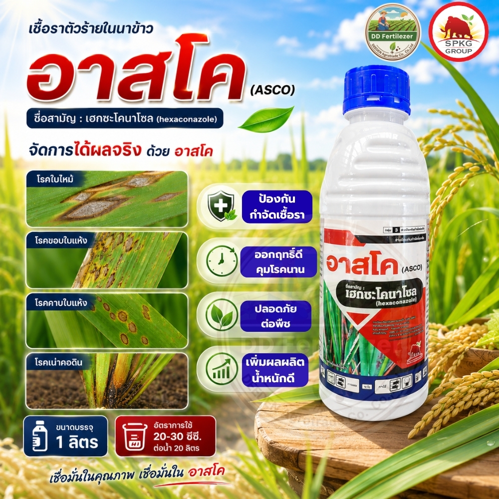 #อาสโค #เฮกซะโคนาโซล ขนาด 1 ลิตร เฮกไซค์ ป้องกันกำจัด ราแป้ง กาบใบแห้ง เมล็ดด่างในข้าว แอนแทรคโนส ใบจุดสีม่วง