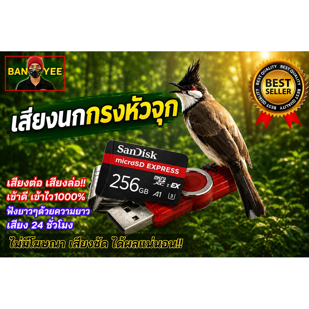 เสียงนกกรงหัวจุก เสียงต่อนกกรงหัวจุก ต่อเข้าเร็ว USB ไม่มีโฆษณา ไม่สะดุด