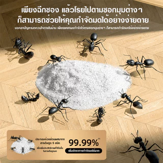 🐜 ผงกำจัดมด 60g ยากำจัดมด เหยื่อมด ผงโรยมด ฆ่ามด กำจัดมดในบ้าน กำจัดมดในครัว โรยง่าย ปลอดภัยต่อคนและสัตว์เลี้ยง