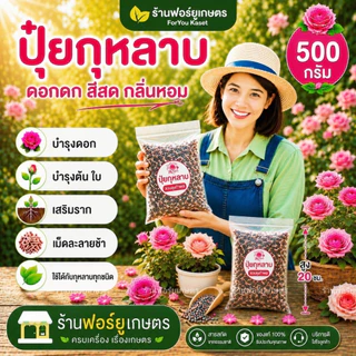ปุ๋ยกุหลาบ 500 กรัม ปุ๋ยเม็ดบำรุงกุหลาบ เม็ดฝังดินกุหลาบ บำรุงต้น เสริมราก ดอกดก สีสด