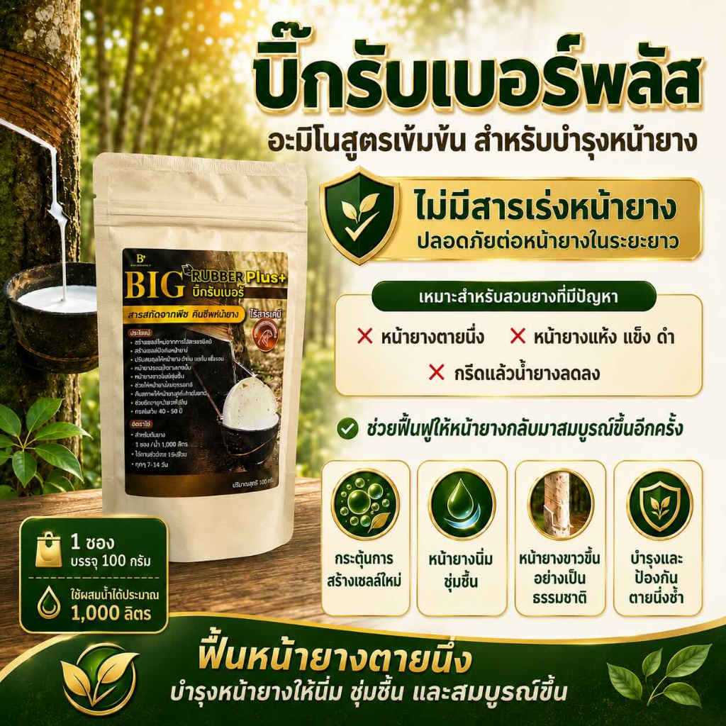 บิ๊กรับเบอร์ พลัส | ฟื้นฟูหน้ายางตายนึ่ง เปลือกแข็ง | คืนชีพหน้ายางใน 4 รอบ