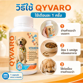 Qyvaro เสริมอาหารสุนัข ป้องกันเห็บหมัด แบบกิน ทำลายวงจรปรสิต ลดคัน ปรสิตภายใน