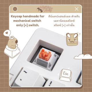 Cream soda mechanical Keycap คีย์แคปครีมโซดา🍨 [คีย์แคปเมคานิคอล]