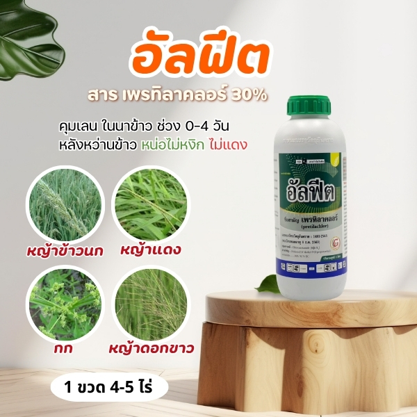 อัลฟีต เพรทิลาคลอร์ คุมเลน ขนาด 1 ลิตร