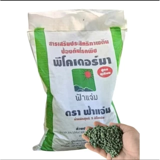พีโคเดอร์มา ไตรโคเดอร์มา