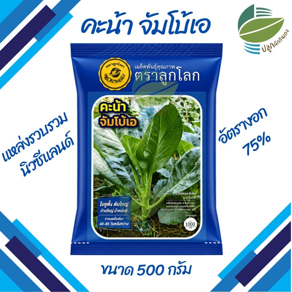 เมล็ดพันธุ์คะน้าจัมโบ้เอ ตราลูกโลก