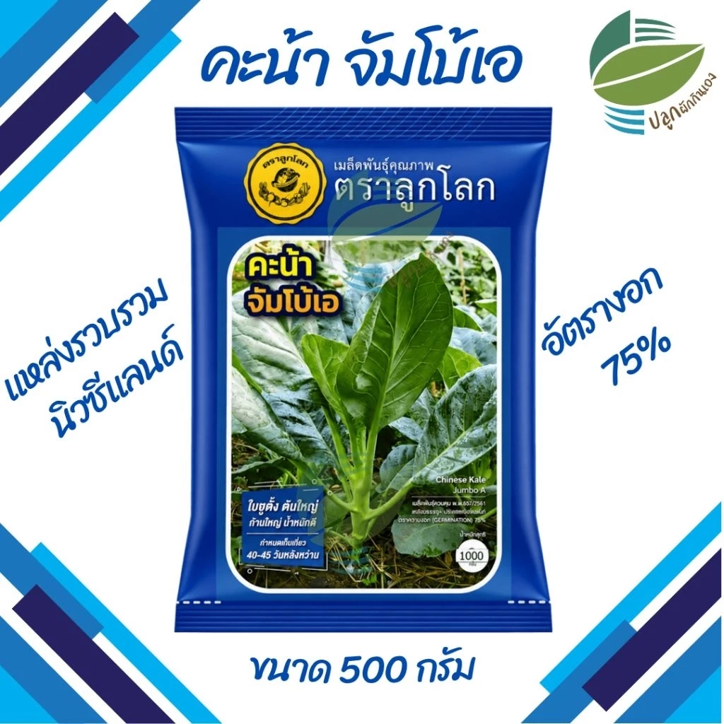 เมล็ดพันธุ์ คะน้า จัมโบ้เอ ตราลูกโลก