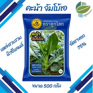 เมล็ดพันธุ์ คะน้า จัมโบ้เอ ตราลูกโลก