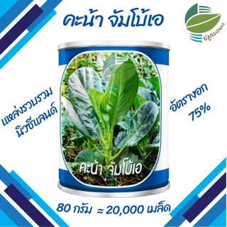 เมล็ดพันธุ์ คะน้า จัมโบ้เอ ตราลูกโลก