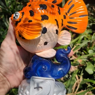 ชุดเริ่มต้น สำหรับปลาบอลลูน Zebra / Marble สายประกวดจากบ้านรางวัล คุณภาพมาตรฐานส่งออก