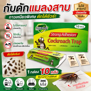 ที่ดักแมลงสาบ กาวดักแมลงสาบ 10 ชิ้น กับดักแมลงสาบ แผ่นดักแมลงสาบ ปลอดสารเคมี ไร้กลิ่น ใช้งานง่าย ดักได้จริง