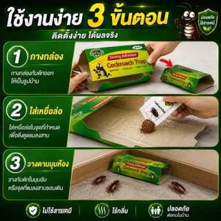 ที่ดักแมลงสาบ กาวดักแมลงสาบ 10 ชิ้น กับดักแมลงสาบ แผ่นดักแมลงสาบ ปลอดสารเคมี ไร้กลิ่น ใช้งานง่าย ดักได้จริง