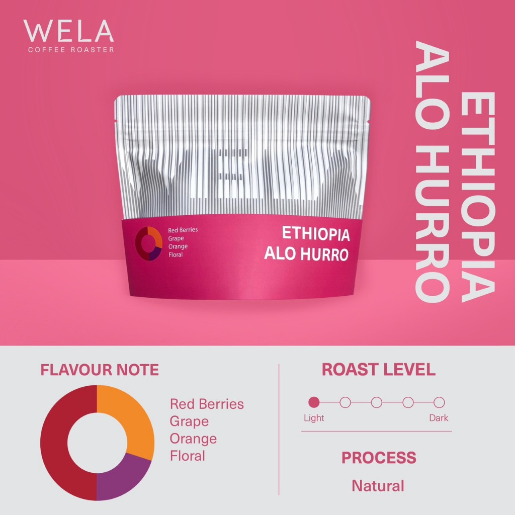 WELA Coffee Roaster - เมล็ดกาแฟคั่ว Ethiopia ALO Hurro, Natural Process, Light Roast