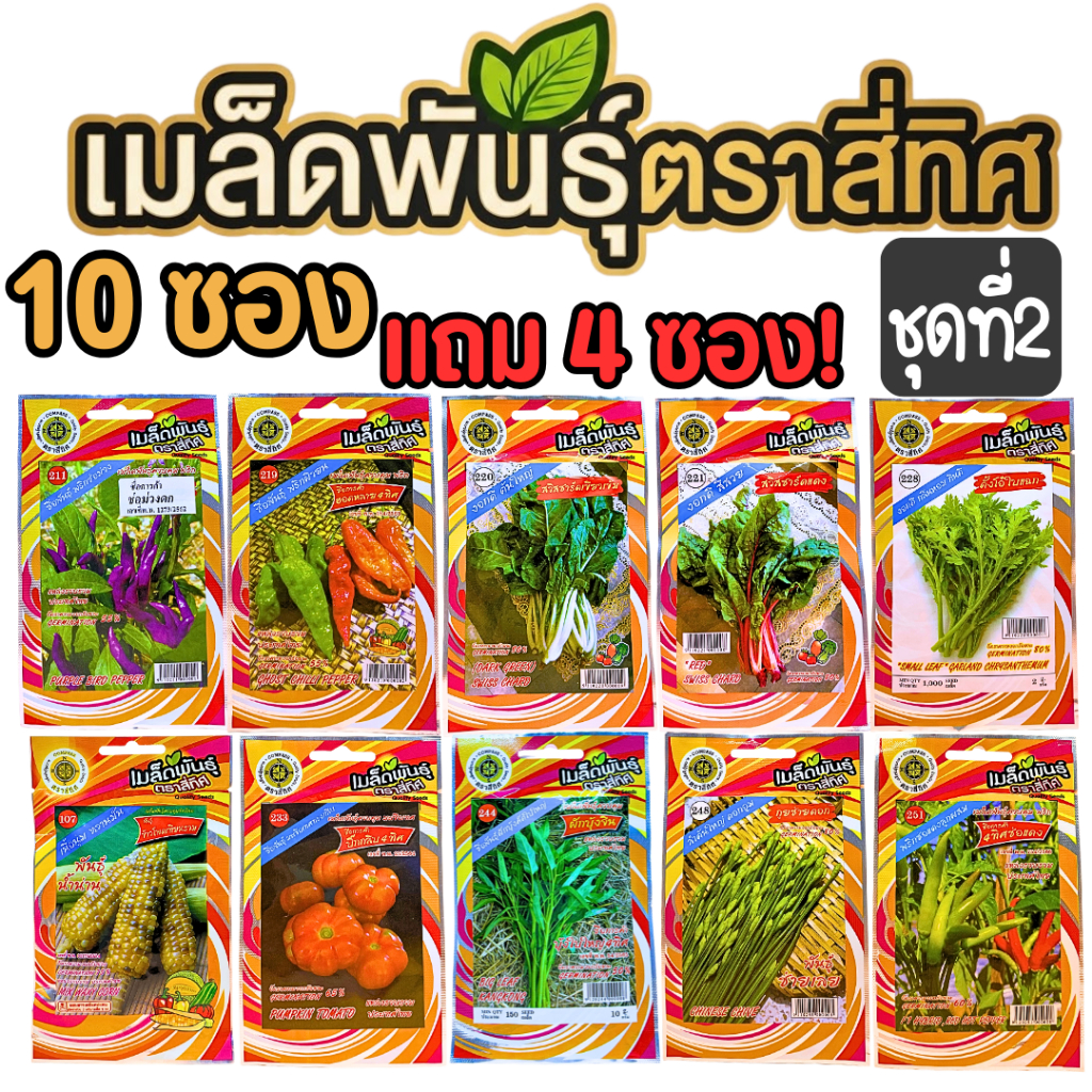 เมล็ดผัก [10 แถม 4] เมล็ดผักตราสี่ทิศ เมล็ดผักสวนครัว ผักบุ้ง ข้าวโพด มะเขือ คอส ผักชี พริก