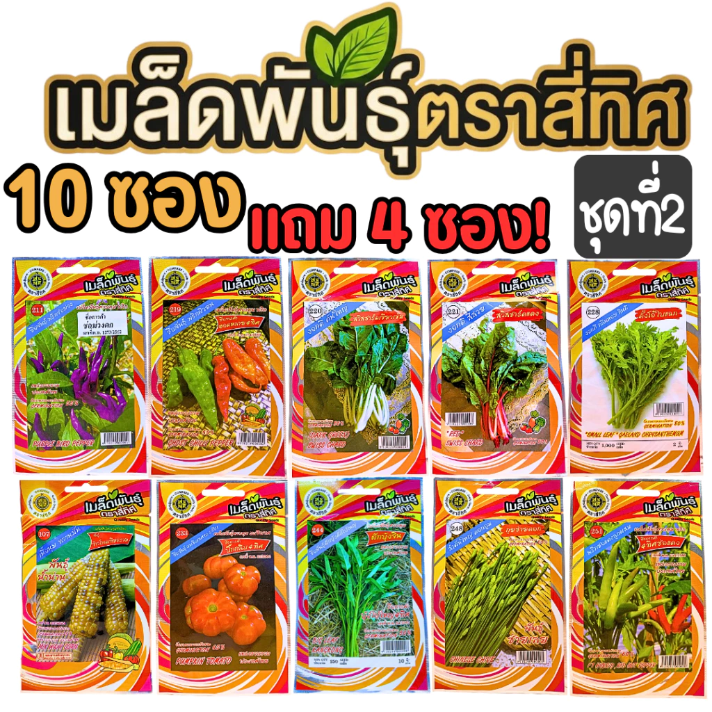 เมล็ดผัก [10 แถม 4] เมล็ดผักตราสี่ทิศ เมล็ดผักสวนครัว ผักบุ้ง ข้าวโพด มะเขือ คอส ผักชี พริก