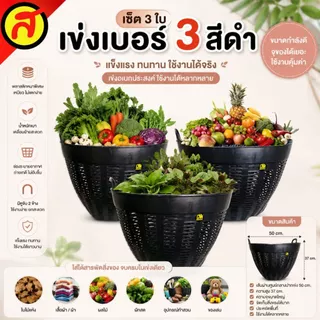 เซ็ต 3 ใบ เข่งพลาสติกเบอร์ 3 สีดำ เข่งปลูกต้นไม้ เข่งใส่ผลไม้ เข่งพลาสติก พร้อมส่ง เข่ง