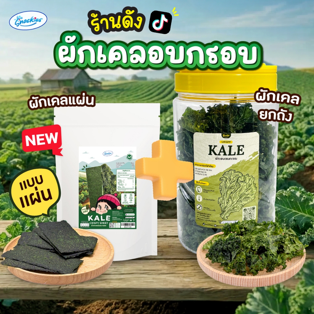 [เซ็ตคู่] ผักเคลแผ่น 1 ซอง + ผักเคลอบกรอบ 1 ถัง ออร์แกนิก ไขมันต่ำ ไม่ทอด กรอบ กินเพลิน snackies
