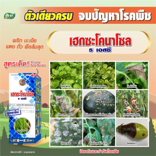 เฮกซะโคนาโซล ยาขัดผิว สูตรเย็น ผ่าดอกได้ สารป้องกันกำจัดโรคพืช กำจัดราดำ ราแป้ง ราใบจุด แอนแทรคโนส ใบไหม้ 1 ลิตร