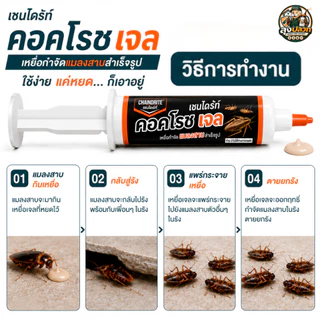 (ของแท้ มี อย.) เชนไดร้ท์ คอคโรช เจล 30 G. | เหยื่อกำจัดแมลงสาบถึงรัง ใช้งานง่าย เห็นผลต่อเนื่อง