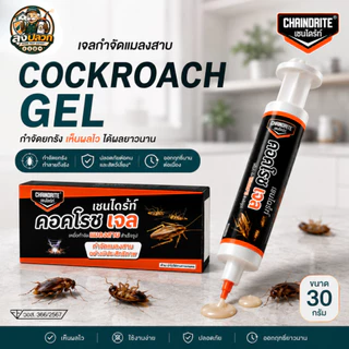(ของแท้ มี อย.) เชนไดร้ท์ คอคโรช เจล 30 G. | เหยื่อกำจัดแมลงสาบถึงรัง ใช้งานง่าย เห็นผลต่อเนื่อง