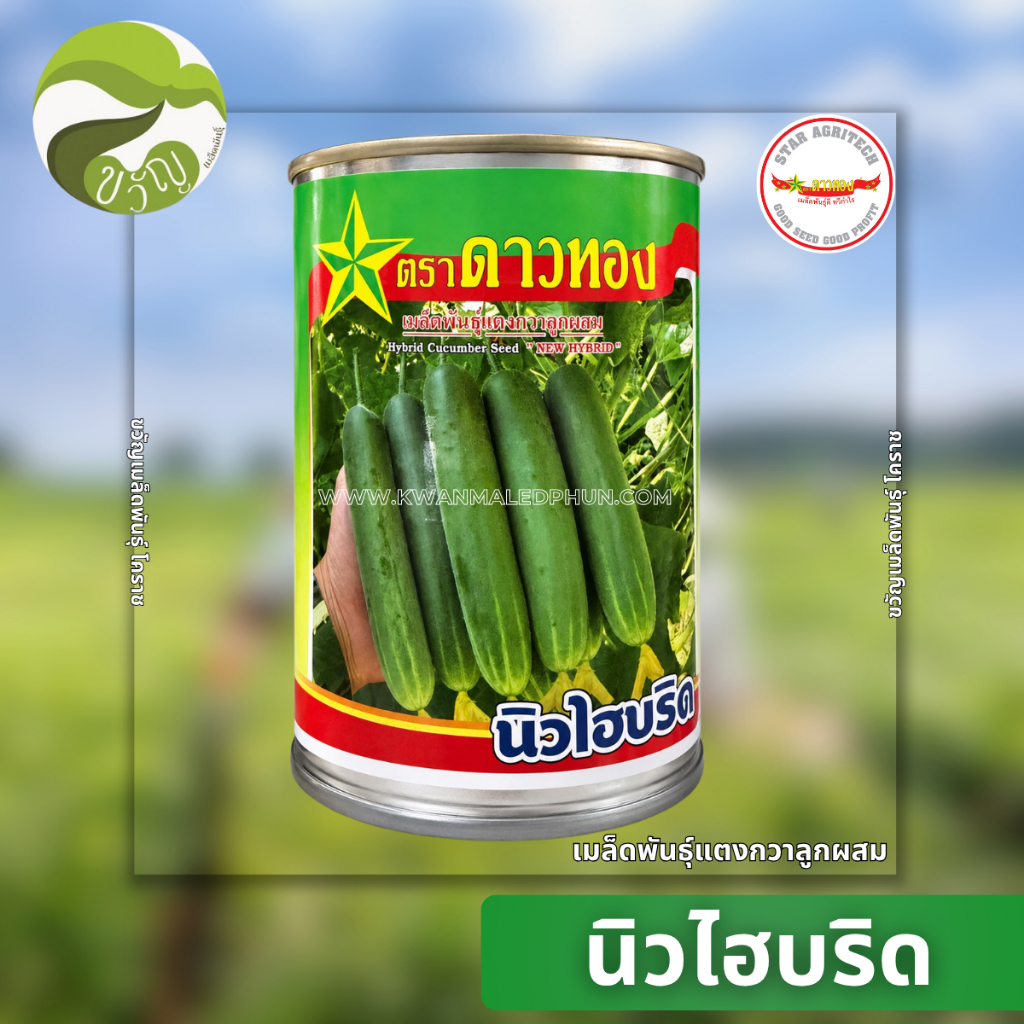 เมล็ดพันธุ์ แตงกวาลูกผสม แตงกวา นิวไฮบริด ตราดาวทอง พันธุ์ใหม่