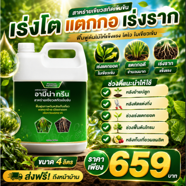 อามีน่ากรีน แตกใบ แตกยอด แตกราก แตกตาข้าง สาหร่ายเขียวเร่งโต สกัดเข้มข้น 4ลิตร