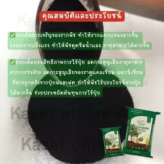 YVP แบ่ง1กก. Black Earth โพแทสเซียมฮิวเมท ผงฮิวมิกเข้มข้นละลายน้ำ ฉีดพ่นทางใบ ฟื้นฟูดิน บำรุงดิน บำรุงราก ปลอดสารเคมีธรร