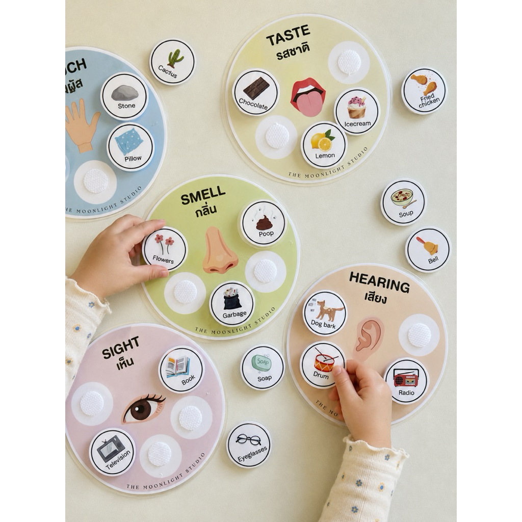 ชุดจับคู่ประสาทสัมผัส 5 ด้าน (Five Senses Matching Board Set)