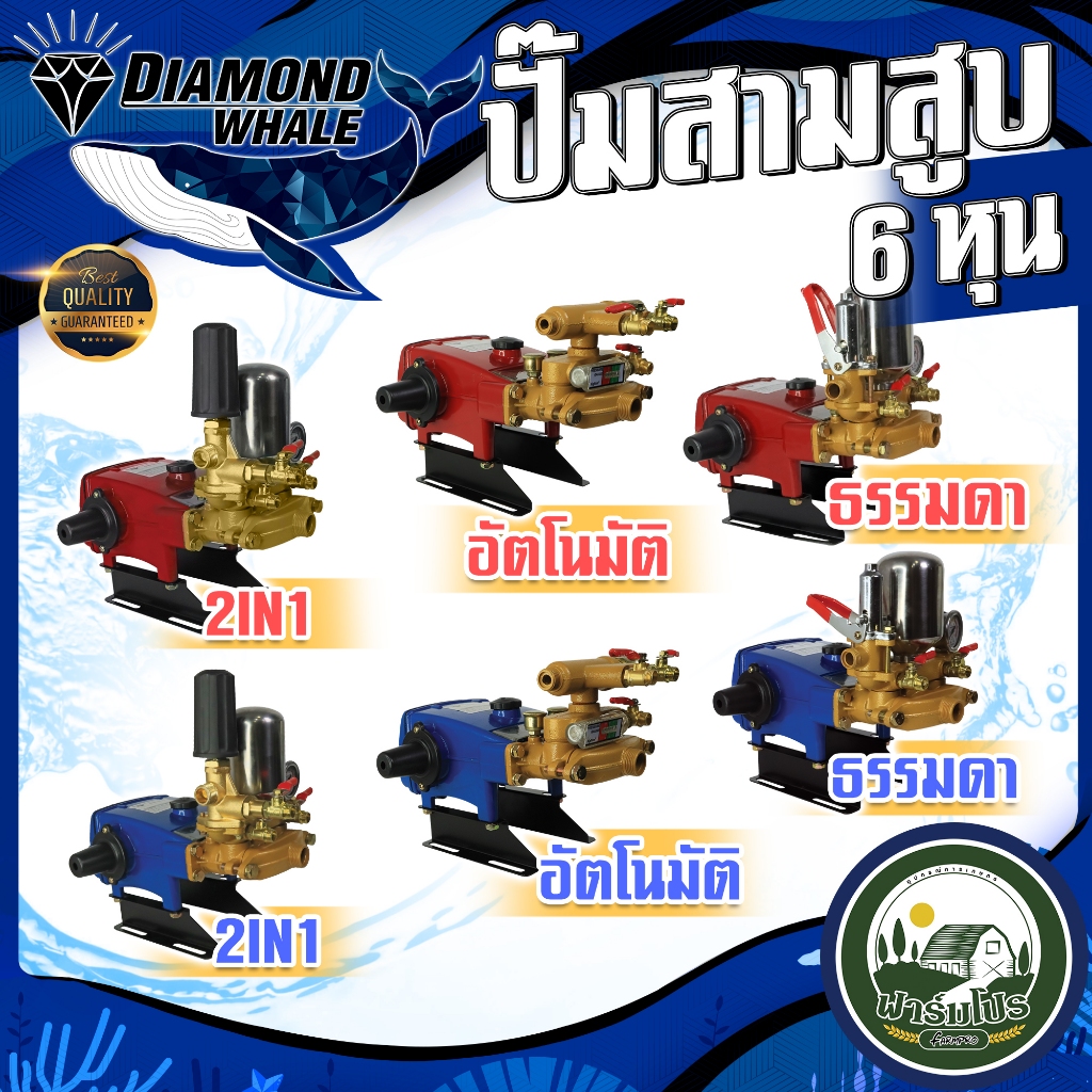 Diamond Whale เครื่องพ่นยา3สูบ ปั๊มพ่นยา3สูบ ปั้มแรงดัน เครื่องพ่นยา ปั้มอัตโนมัติ ปั้มธรรมดา 6หุน