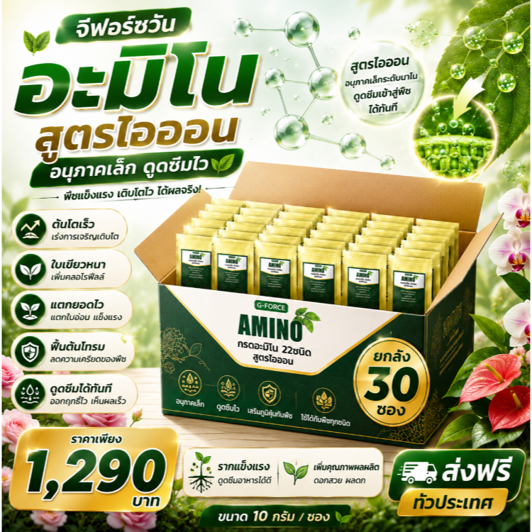 จีฟอร์ซวันอะมิโน สูตรไอออน  อนุภาคเล็กดูดซึมไวชนิดผง ขนาด10 กรัม ต้นโตเร็ว ใบเขียวหนา 30 แพค