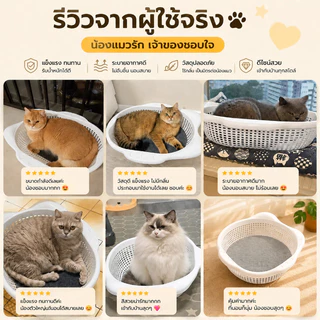 【Doglemi】ตะกร้าแมว พร้อมแผ่นรองนุ่ม ระบายอากาศรอบด้าน ที่นอนแมว เตียงแมว พลาสติก PP แข็งแรง สำหรับแมวและสุนัขตัวเล็ก