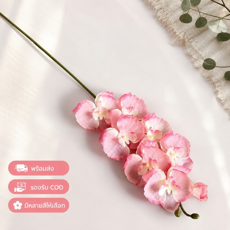 ดอกกล้วยไม้ฟาแลนนอปซิสเทียม 8 ดอก กระถางเซรามิก ใช้ได้ทั้งในร่ม-กลางแจ้ง ของขวัญปีใหม่/วันแม่/วันเกิดคว