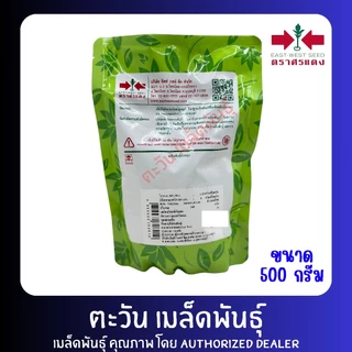 ถั่วฝักยาว เขียวดกเกษตร เมล็ดพันธุ์ ตราศรแดง บรรจุ 500กรัม