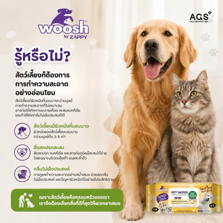 (100 แผ่น/แพ็ค) ผ้าเช็ดทำความสะอาดสัตว์เลี้ยง ลดการสะสมของแบคทีเรีย อ่อนโยน เพิ่มความชุ่มชื้น ขจัดกลิ่น Woosh Pet Wipes