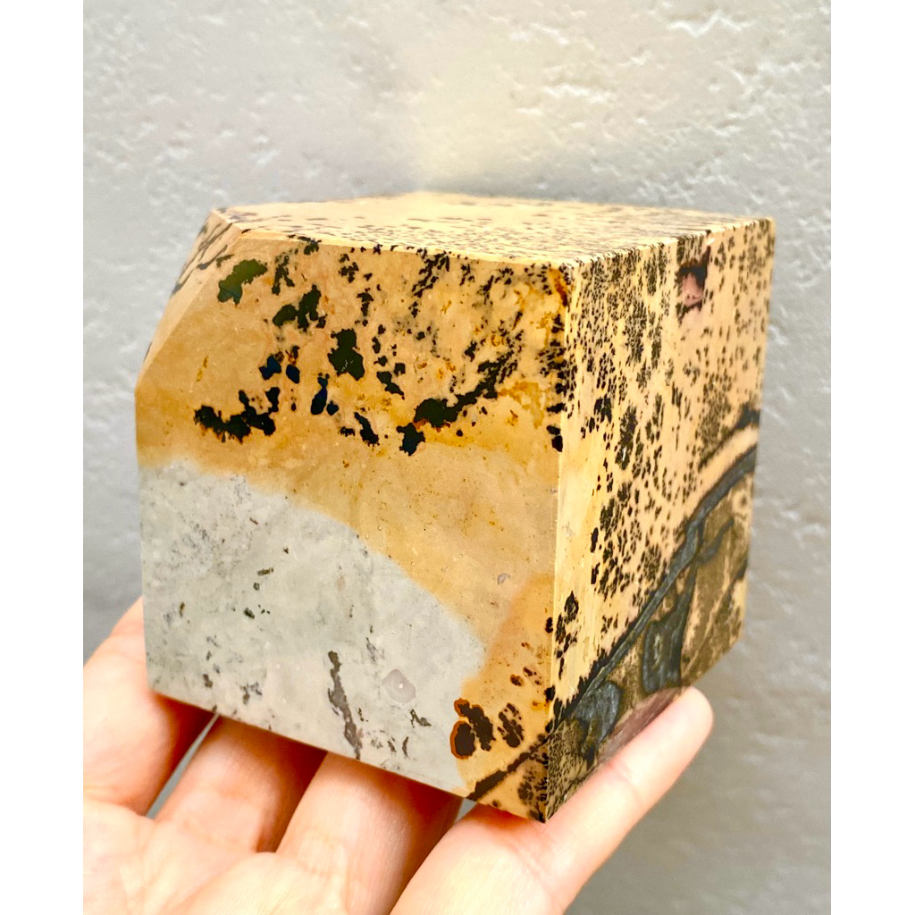 ✨🖼️พิกเจอร์แจสเปอร์ (Picture Jasper) 🖼️✨531 g "หินผู้เลี้ยงดูที่ยิ่งใหญ่"