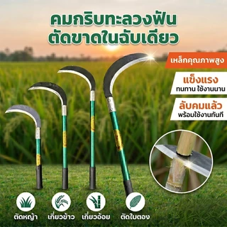 [พร้อมส่ง]เคียวเหล็กแมงกานีส คมกริบ แข็งแรงทนทาน ใช้เกี่ยวข้าว ตัดหญ้า ฟันกิ่งไม้ ⭐ มีหลายขนาด